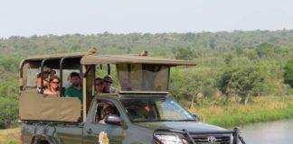Book your next Kruger Park Safari with Kurt Safaris