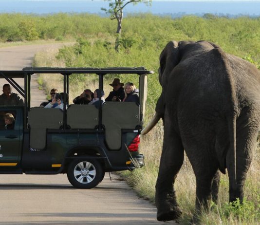 Experience the wonders of the Kruger with a 3 Day Kruger Park Safari