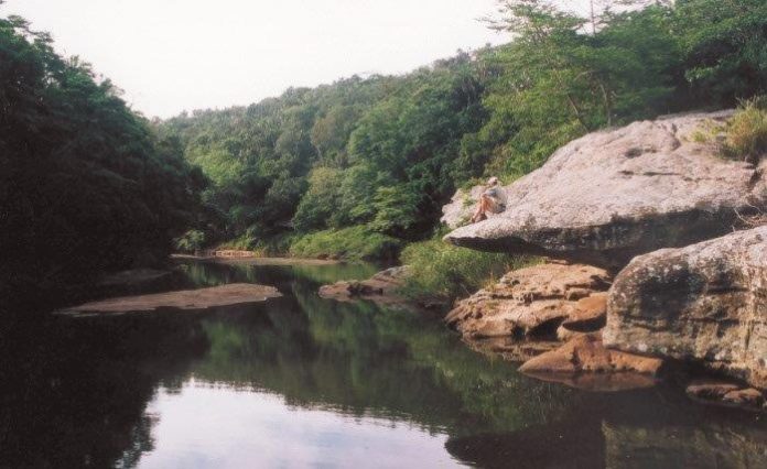 504-River-Valley-Nature-Reserve 21 great family outings on the KZN South Coast for under R150