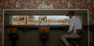 Mhondoro Safari Lodge