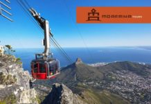 10 Things you don't want to miss when you visit Cape Town