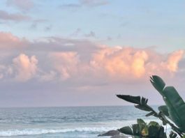 Top 10 beach tips for summer holidays on the KZN South Coast
