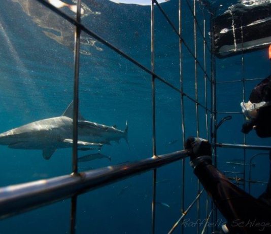 23 Summer Bucket List Outings on the KZN South Coast