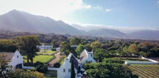 Hospitality Fast-Forward: Growth and New Developments at Steenberg