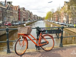 8 Of Amsterdam’s Best Kept Secrets You Need To Add To Your Travel Bucket List