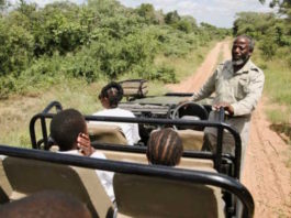 Raising future conservationists through eco-tourism