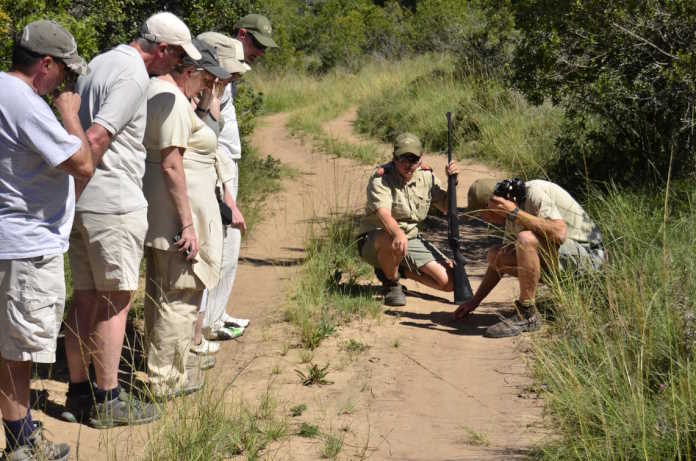 Take a walk on the wild side at Lalibela Game Reserve 2 Lalibela Game Reserve