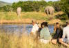 Take a walk on the wild side at Lalibela Game Reserve