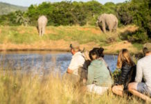 Take a walk on the wild side at Lalibela Game Reserve