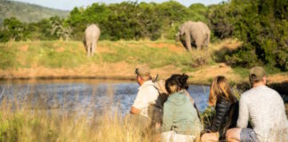 Take a walk on the wild side at Lalibela Game Reserve