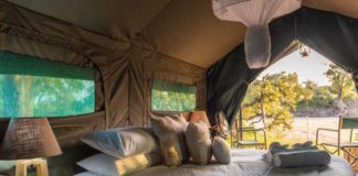 Kruger Untamed Satara Plains Camp