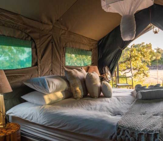 Kruger Untamed Satara Plains Camp