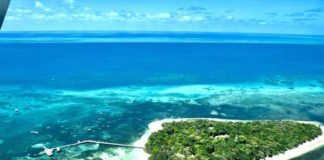 Great Barrier Reef off Cairns coast