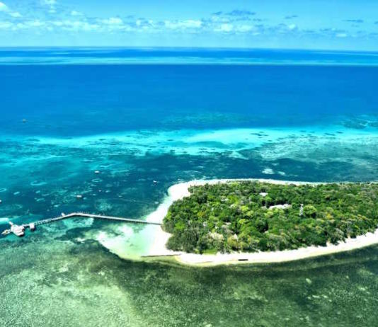 Great Barrier Reef off Cairns coast