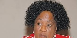 Premier wants to build Free State, but offers no strategy to do so Premier wants to build Free State, but offers no strategy to do so