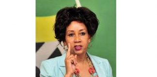 Sisulu to ask Cabinet to declare dams as National Key Points