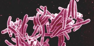 South African researchers develop quicker way to detect drug resistance