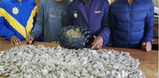 Drug dealer nabbed in Deben, dagga haul recovered Drug dealer nabbed in Deben, dagga haul recovered