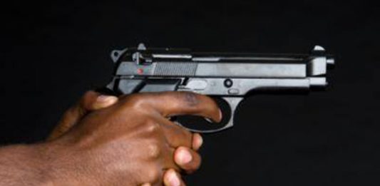 Farm attack, 5 attackers, father and son (16) both shot in the chest