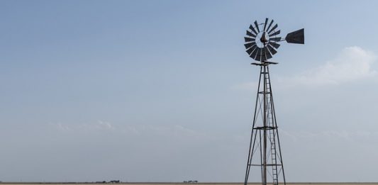 22 Farm attacks, 3 farm murders in South Africa: 1-15 July 2019