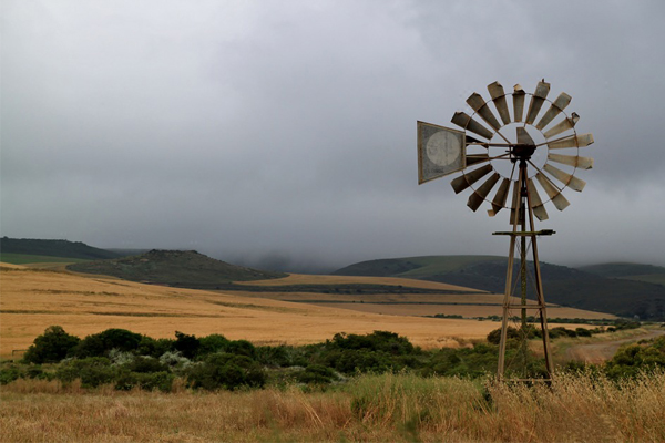 SAPS statistics indicate the increase in South African farm murders