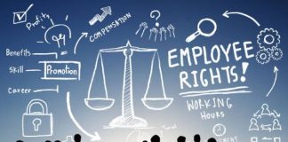 What the 19th Annual Employment Equity Commission Report means for you and your business