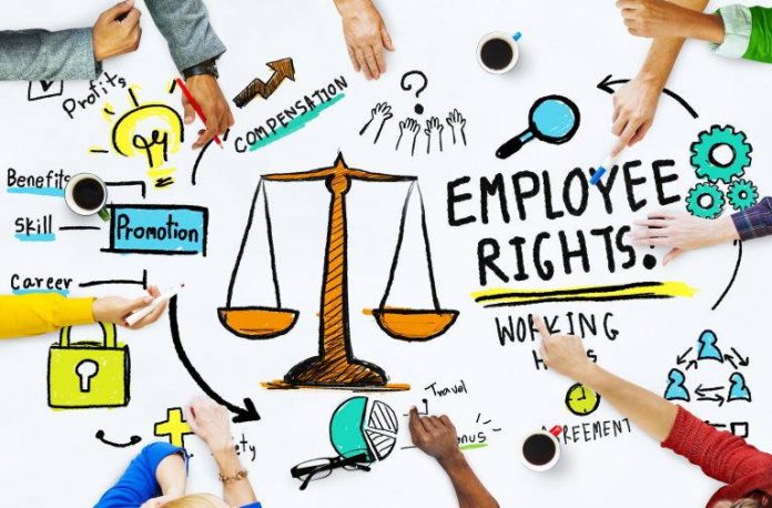 Amendments to Employment Equity Reporting Look To Equalise Remuneration Practices