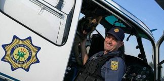Police dog apprehends cable thieves in Bethelsdorp