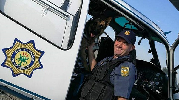 Police dog apprehends cable thieves in Bethelsdorp Police dog apprehends cable thieves in Bethelsdorp