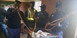 Copper cable theft, suspect arrested, Pretoria. Photo: SAPS