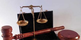 737 Counts of fraud, Lida Potgieter loses her appeal