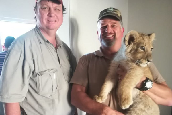 Lion cub found in Athlone, Cape Town