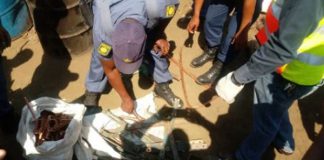 Continued theft of PRASA infrastructure, Durban. Photo: SAPS
