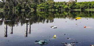 Matjhabeng: From city of gold to city of sewage Matjhabeng: From city of gold to city of sewage