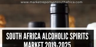 South Africa Alcoholic Spirits Market Geographical Segmentation, Industry Size & Share, Analysis, Outlook to 2025 South Africa Alcoholic Spirits Market Geographical Segmentation, Industry Size & Share, Analysis, Outlook to 2025