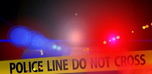 Violent double farm murder, farmer and worker killed, Radium