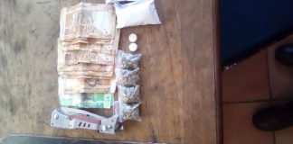 Drugs and burglaries: Elliot K9 unit members carry out operation. Photo: SAPS