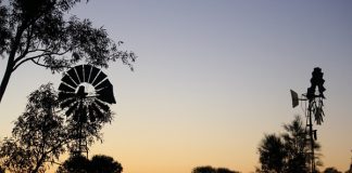 Farm attack, 3 armed attackers assault, tie up owner, De Wagensdrift