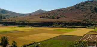 Expropriation Bill: ANC cannot be trusted Expropriation Bill: ANC cannot be trusted