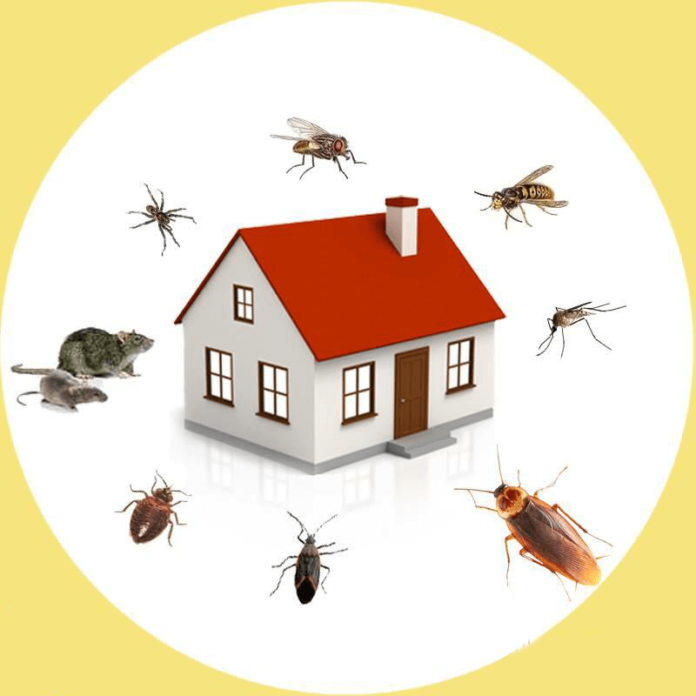 Pest Control Market Global Demand, Trends and Precise Outlook 2020 to 2030 Pest Control Market Global Demand, Trends and Precise Outlook 2020 to 2030