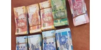 Man arrested with large amount of undeclared cash, Musina. Photo: SAPS