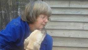 NPO makes heartfelt plea for dog food donations in February to feed starving animals NPO makes heartfelt plea for dog food donations in February to feed starving animals