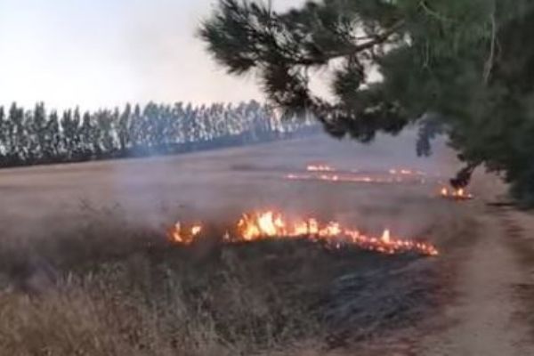 Why do people set farms alight? What is going to be done about it and by who? Why do people set farms alight? What is going to be done about it and by who?