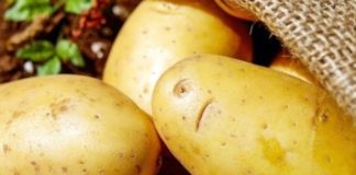 Hope campaign to unpack position of potatoes during pandemic