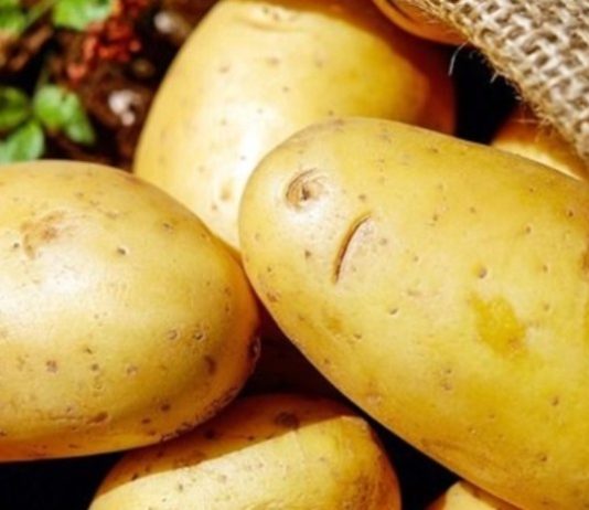 Hope campaign to unpack position of potatoes during pandemic