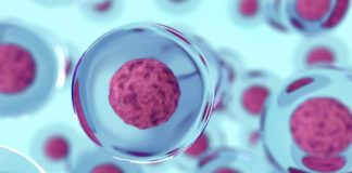 Regenerative Medicine Market Global Demand and Top Players 2021 – Allergan