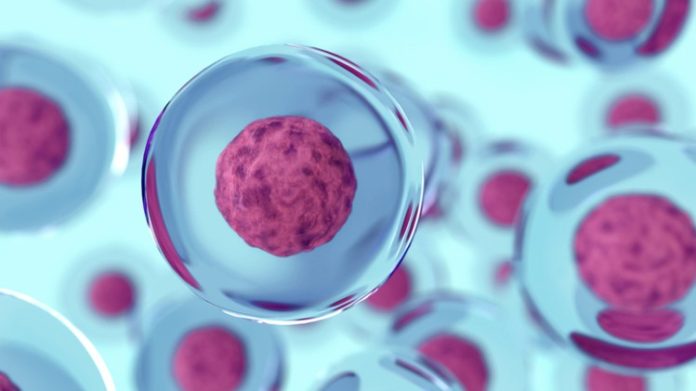 Regenerative Medicine Market Global Demand and Top Players 2021 – Allergan Regenerative Medicine Market Global Demand and Top Players 2021 – Allergan