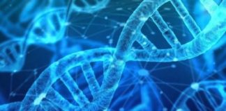 Police utterly unable to test a single DNA sample – is treason against the people of South Africa