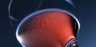 FF Plus demands thorough investigation into apparently intoxicated traffic officer FF Plus demands thorough investigation into apparently intoxicated traffic officer