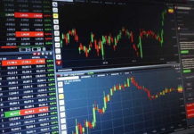 What are the key Economic Indicators of Development?